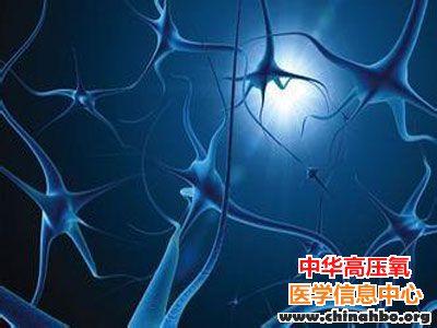 癫痫药物苯妥英钠或可防止MS神经损伤