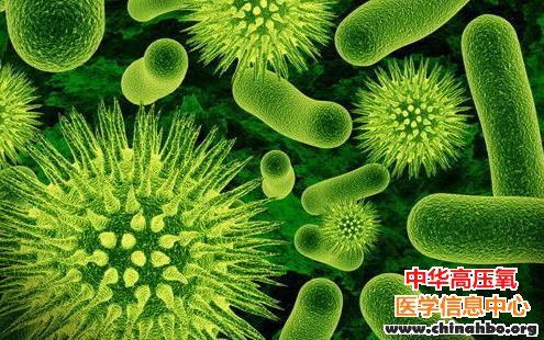 人体比马桶还脏的四个地方 你今天清了没？