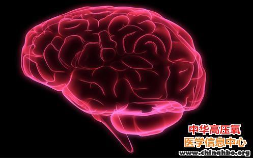 聪明的大脑是“嗜血”的大脑，科学家颠覆传统认知