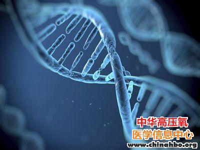 妈妈决定孩子智商·性欲情绪受父影响